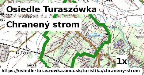 chranený strom v Osiedle Turaszówka