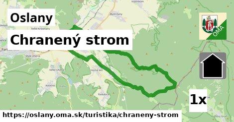 Chranený strom, Oslany