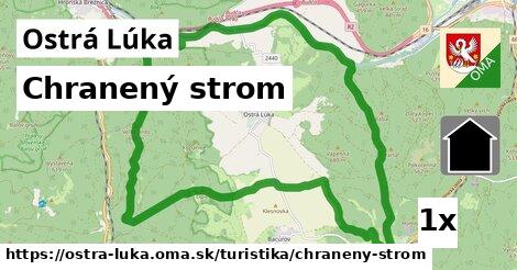 Chranený strom, Ostrá Lúka