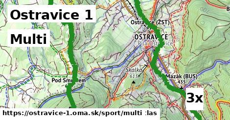 Multi, Ostravice 1