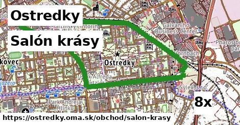 Salón krásy, Ostredky