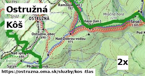 Kôš, Ostružná