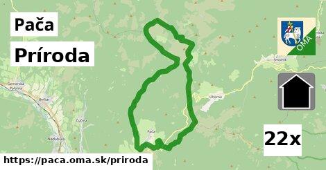 príroda v Pača