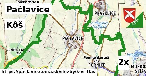 Kôš, Pačlavice