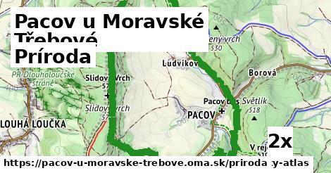 príroda v Pacov u Moravské Třebové