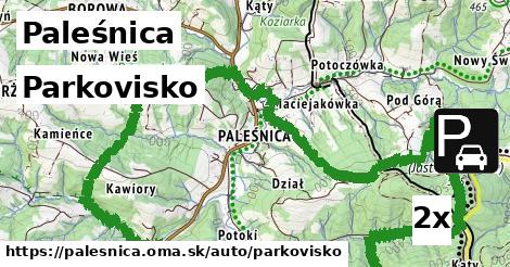 Parkovisko, Paleśnica