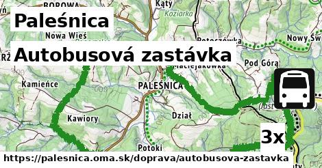 Autobusová zastávka, Paleśnica