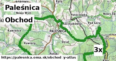 obchod v Paleśnica