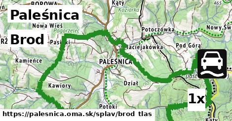 Brod, Paleśnica