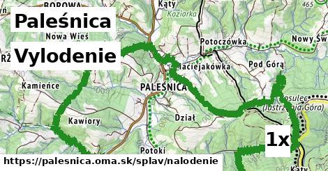 Vylodenie, Paleśnica