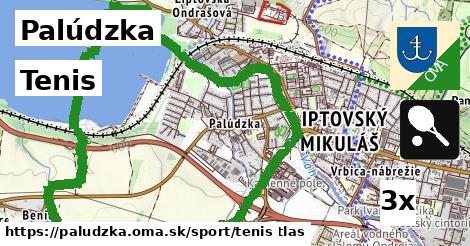 Tenis, Palúdzka