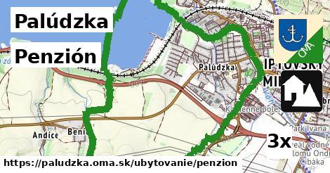 Penzión, Palúdzka