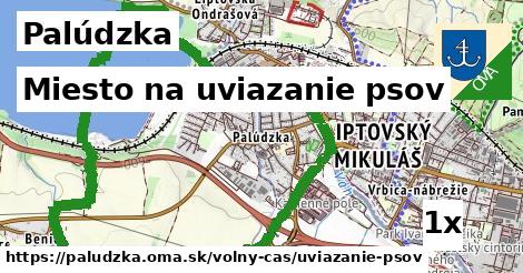 Miesto na uviazanie psov, Palúdzka