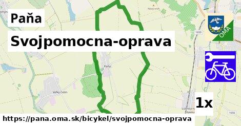 Svojpomocna-oprava, Paňa