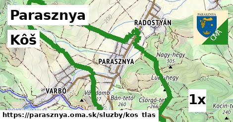 Kôš, Parasznya