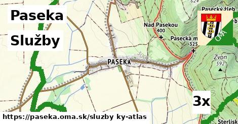 služby v Paseka