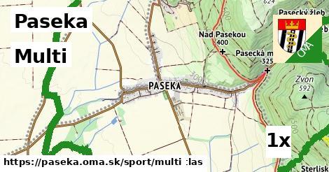 Multi, Paseka