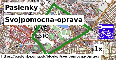 Svojpomocna-oprava, Pasienky