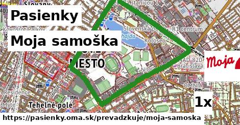 Moja samoška, Pasienky