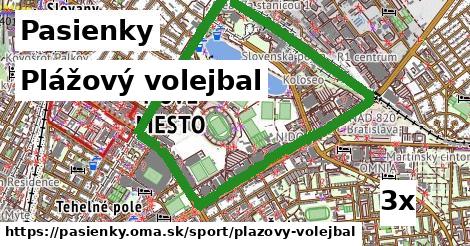 Plážový volejbal, Pasienky