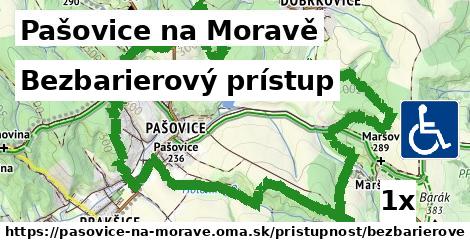 bezbarierový prístup v Pašovice na Moravě