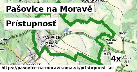 prístupnosť v Pašovice na Moravě