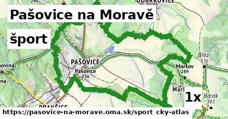 šport v Pašovice na Moravě