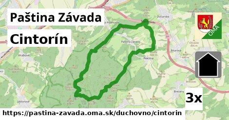 Cintorín, Paština Závada