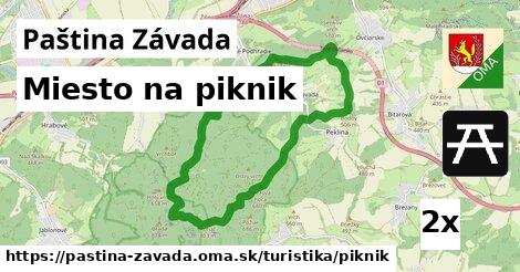 Miesto na piknik, Paština Závada