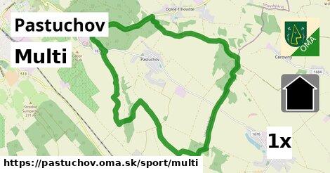 multi v Pastuchov