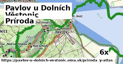 príroda v Pavlov u Dolních Věstonic