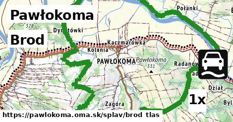 brod v Pawłokoma