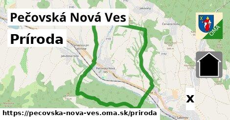 príroda v Pečovská Nová Ves