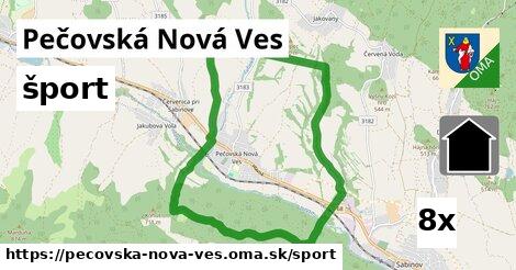 šport v Pečovská Nová Ves