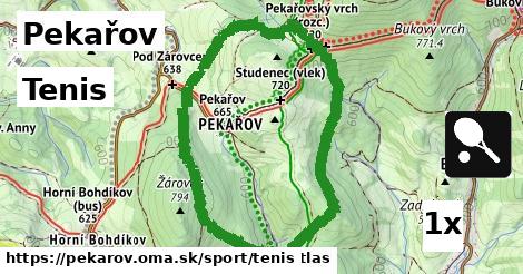Tenis, Pekařov