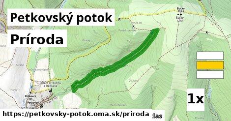 príroda v Petkovský potok