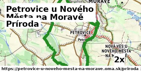 príroda v Petrovice u Nového Města na Moravě