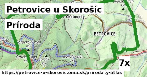 príroda v Petrovice u Skorošic