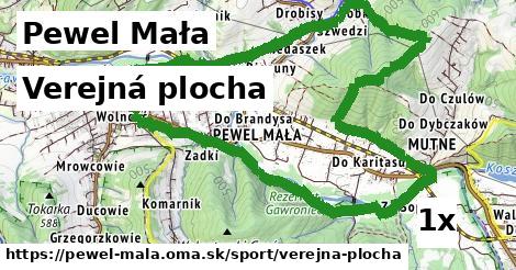 verejná plocha v Pewel Mała