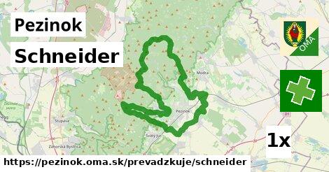 Schneider, Pezinok