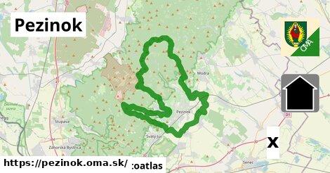 Orientačná mapa, Pezinok