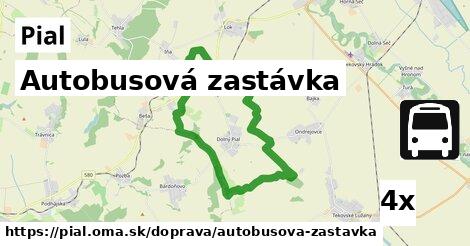 Autobusová zastávka, Pial