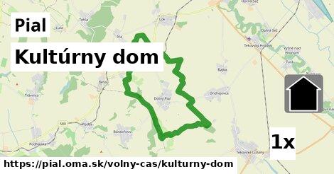 Kultúrny dom, Pial