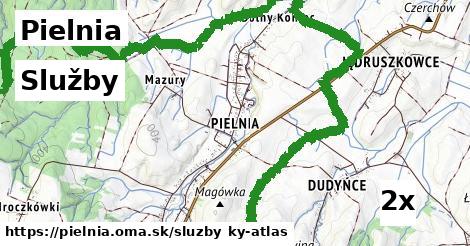 služby v Pielnia