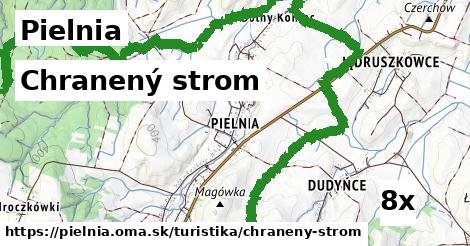 Chranený strom, Pielnia