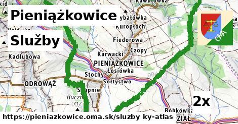 služby v Pieniążkowice