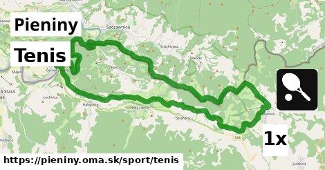 Tenis, Pieniny