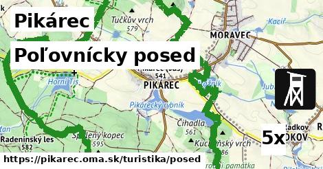 Poľovnícky posed, Pikárec