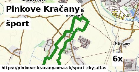 šport v Pinkove Kračany