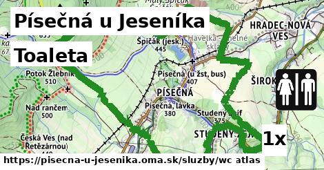 Toaleta, Písečná u Jeseníka